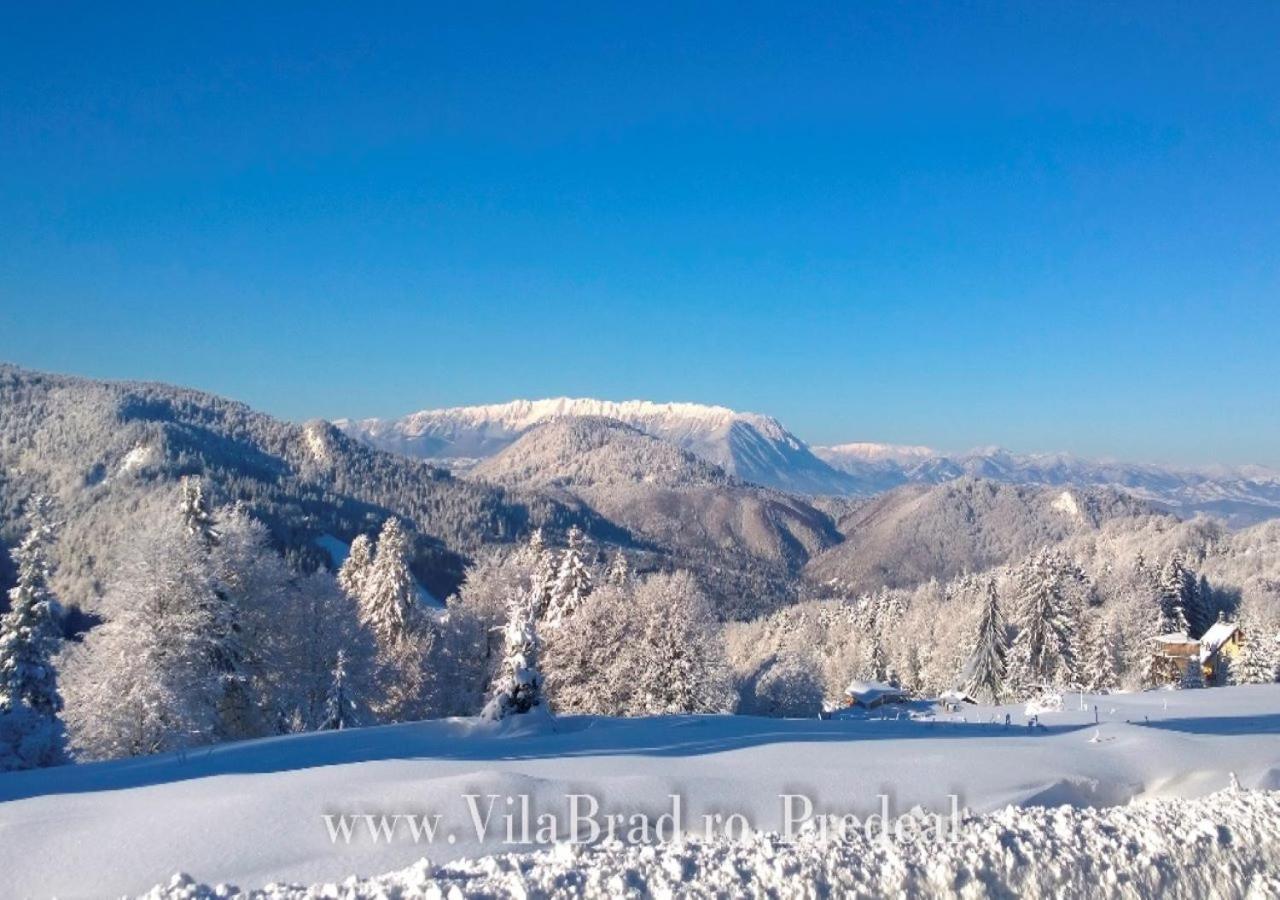 Vila Brad Predeal Exteriér fotografie