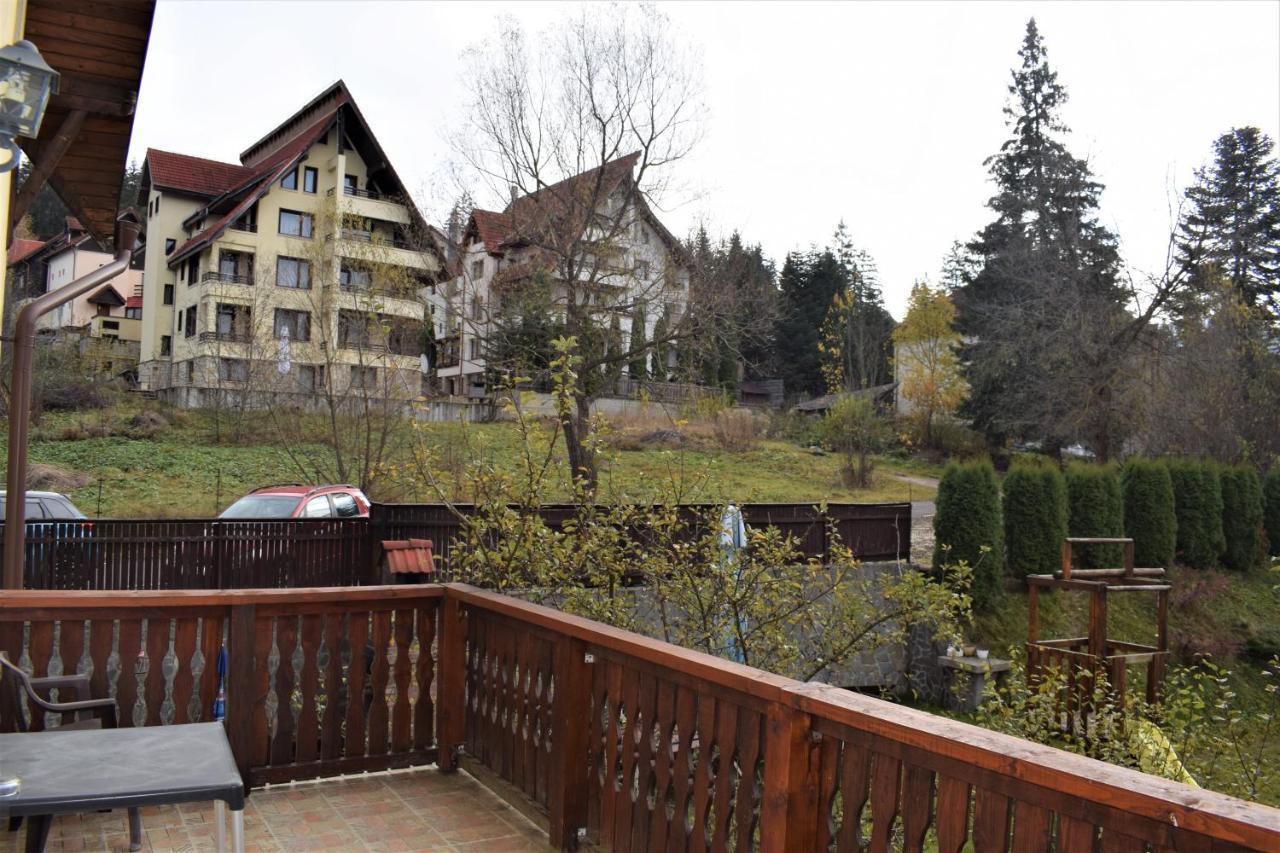 Vila Brad Predeal Exteriér fotografie