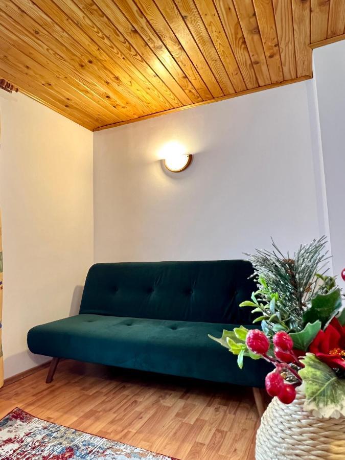 Vila Brad Predeal Exteriér fotografie